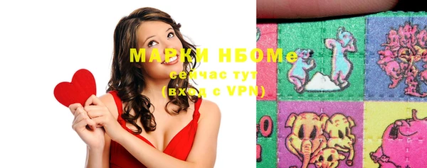 шишки Балахна