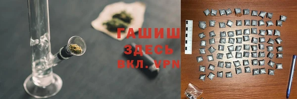 индика Бородино