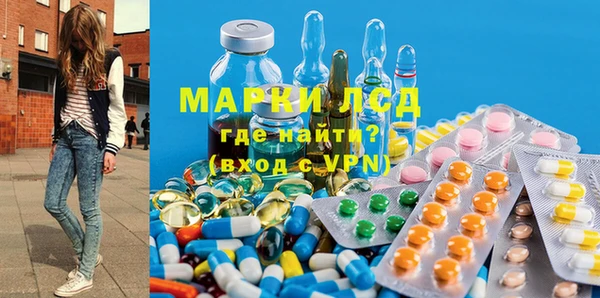индика Бородино