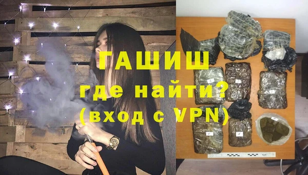 индика Бородино