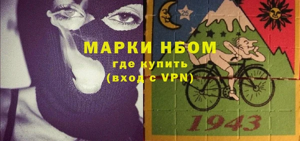 индика Бородино