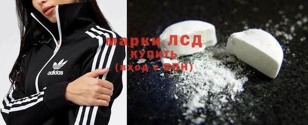 индика Бородино