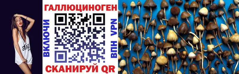 Галлюциногенные грибы Psilocybine cubensis  Инта 